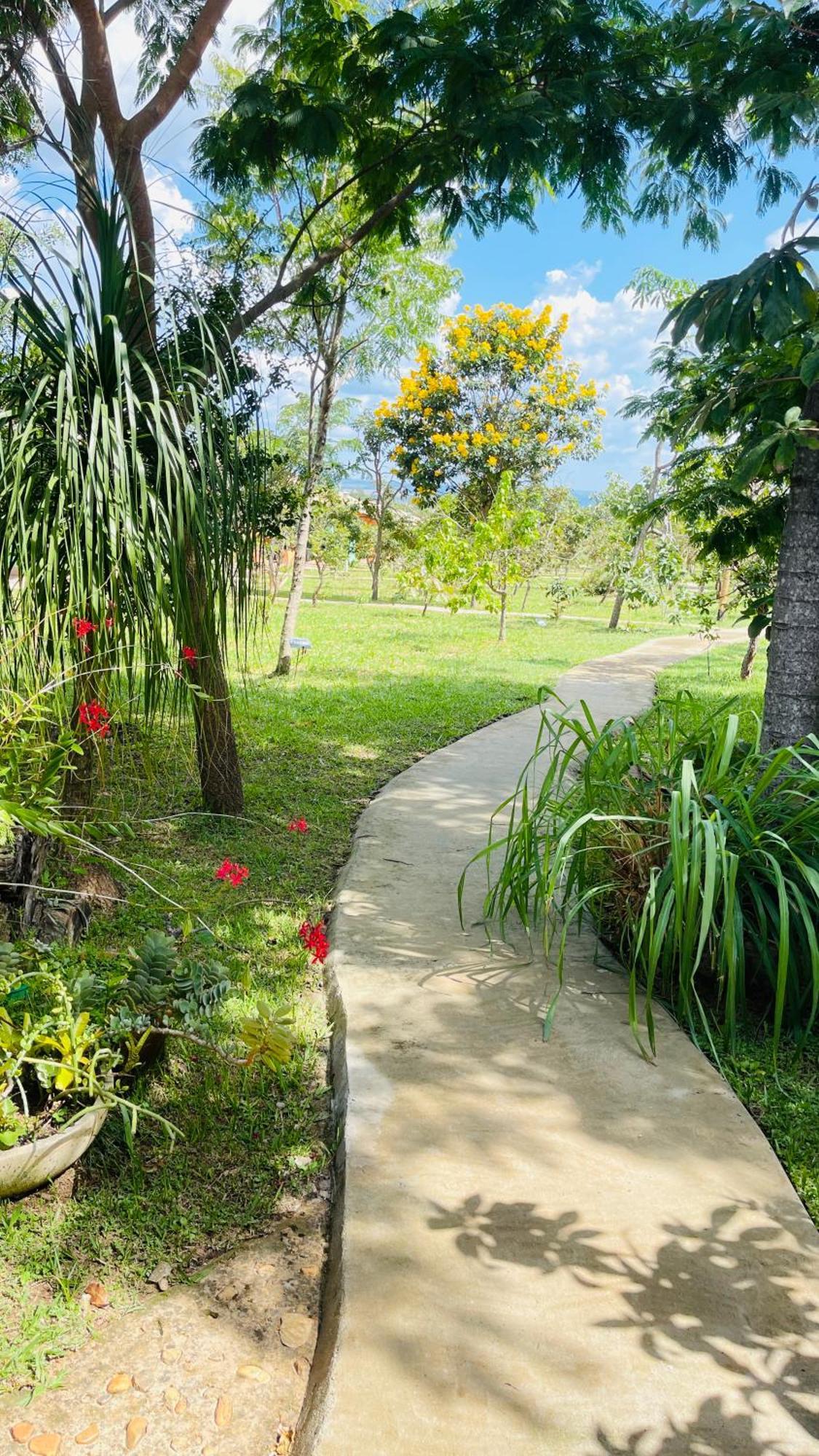 Pousada Refugio Da Serra Pirenopolis Exterior photo